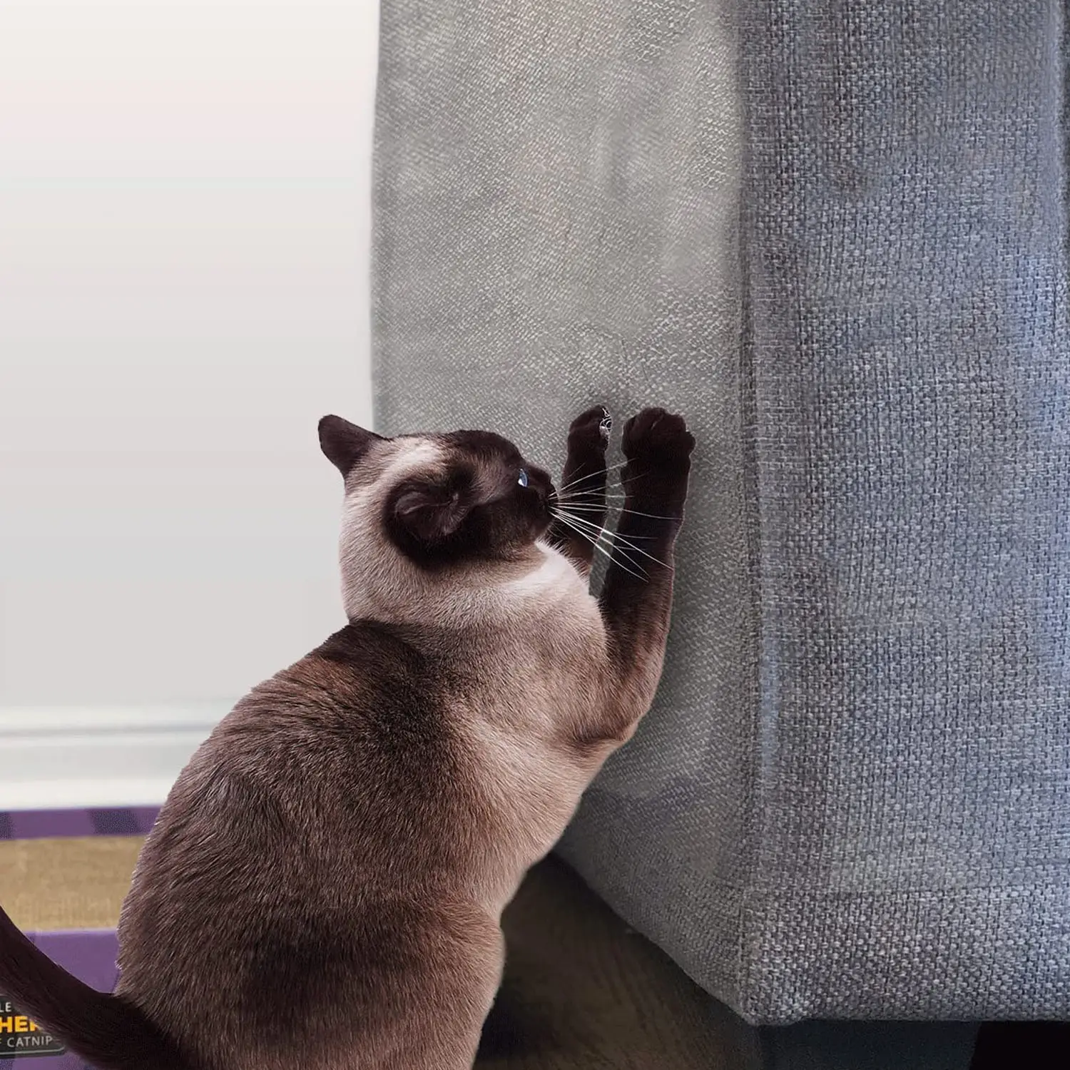 Stelucca Amazing Shields 10-Pack of 18-Inch x 13-Inch Cat Anti Scratch Furniture Protectors with Twist Pins for Strong Protection