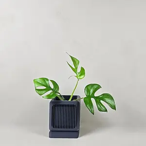 Square Planter Pot with Drainage - Unique Planter with Drainage and Drip Tray - Planter for Succulents, Houseplants, Cacti planter pot