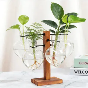 Hydroponics Planter Holder with 4 Glass Vases and one Solid Wood Stand,Easy Water Replacement,Decoration for Home,Office,Garden,Gift for Valentine's Day,Mother's Day,Plant Lovers