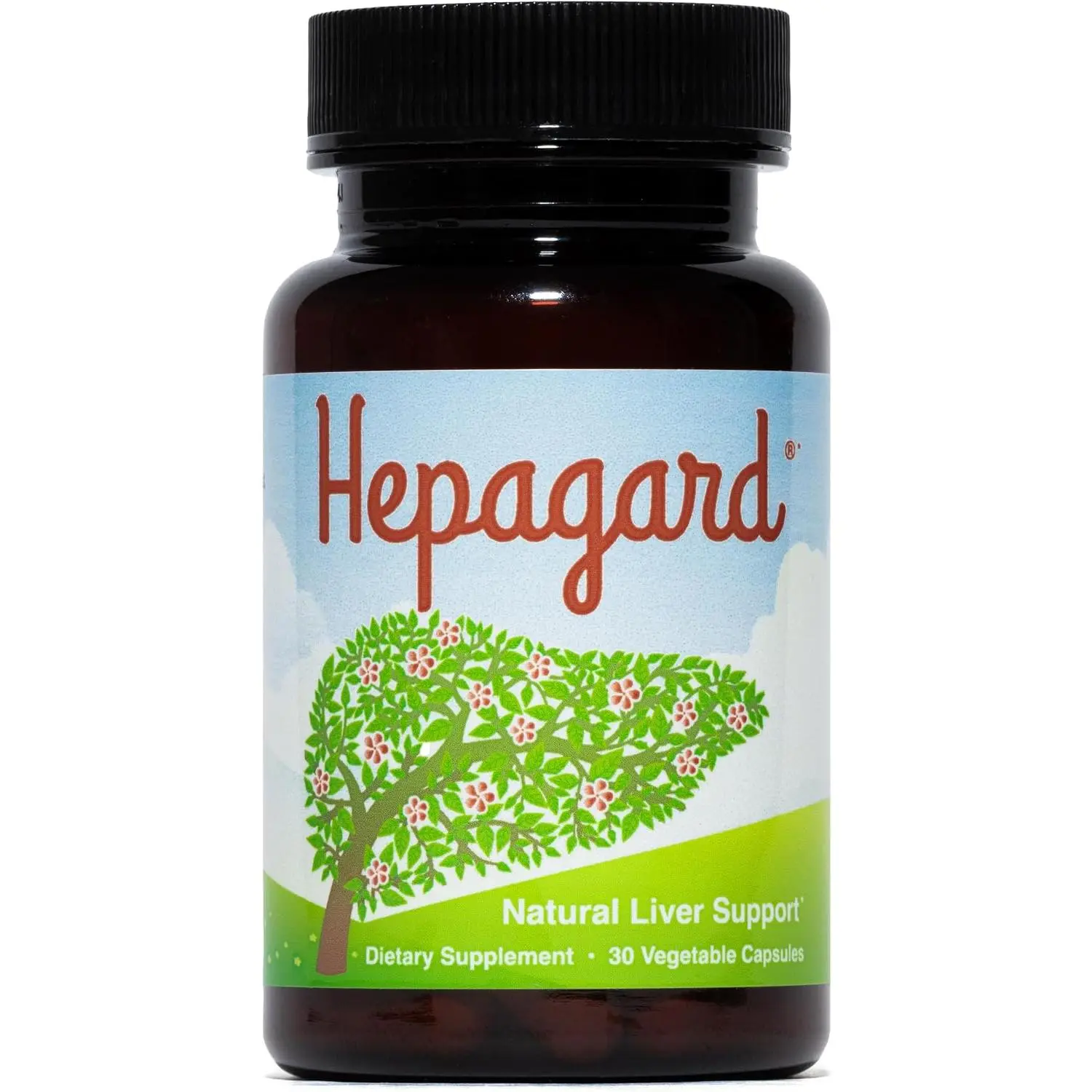 Hepagard Natural Liver Support Supplement with NAC, Vegan, Gluten-Free | Promotes Healthy Liver Function, Detox, and Cleanse with Milk Thistle for Less Bloating and Better Digestion, 30-Day Supply