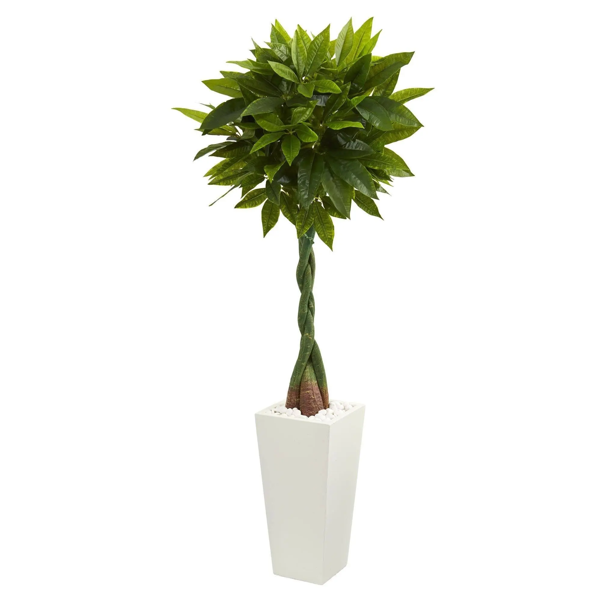 5.5ft Real Touch Artificial Money Tree with Braided Trunk - Indoor Plants Ornament in White Tower Planter, Natural Look Decor for Home & Office, Office Decor