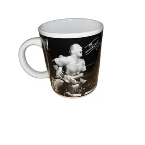 Vintage 2003 Sherwood Brands WWE The Rock & Kurt Angle Ceramic Reuse Mug, Classic Washable Kitchenware Drink Cup