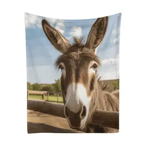 Funny Cute Donkey Lightweight Cozy Bed Blanket SoFt Throw Blanket Fits Couch SoFa Suitable For All Season 60x80 For Adults Women Men