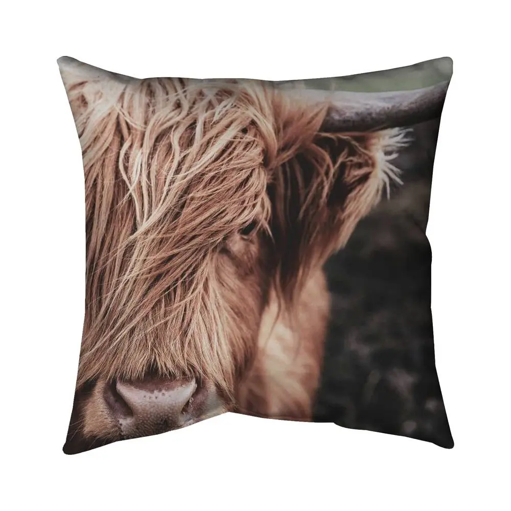 Begin Home Decor 5541-1616-PH1-2 16x16 in. Farmhouse Brown Soft Cushion - Desaturated Highland Cow Home Decor Pillow