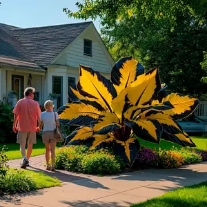 800Pcs Easy to Grow Hosta Seeds – Add Lush Texture to Your Backyard, Patio Planters, or Woodland Paths, No Experience Needed