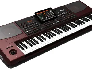Korg Pa1000 61-Key Professional Arranger Lighted Piano Set Keyboard Electric