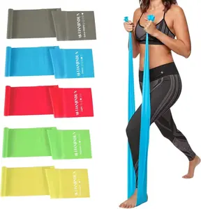 5PCS Latex-Free Resistance Bands Set – Stretch Exercise Bands for Pilates, Yoga, Physical Therapy & Home Workout