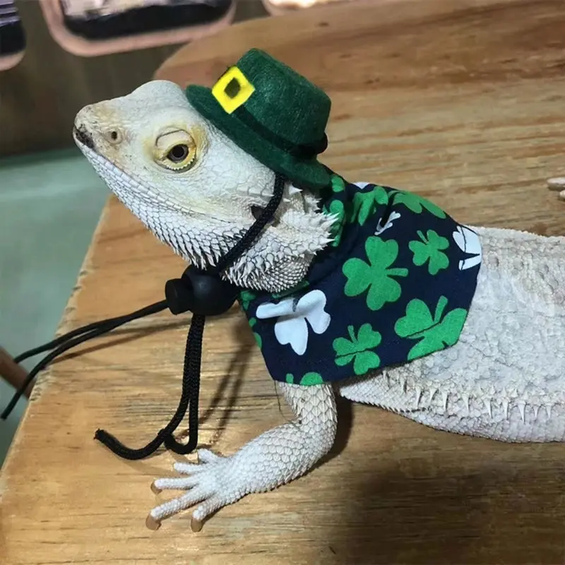 Saint Patrick's Day Outfit Saint Patrick's Day Outfit