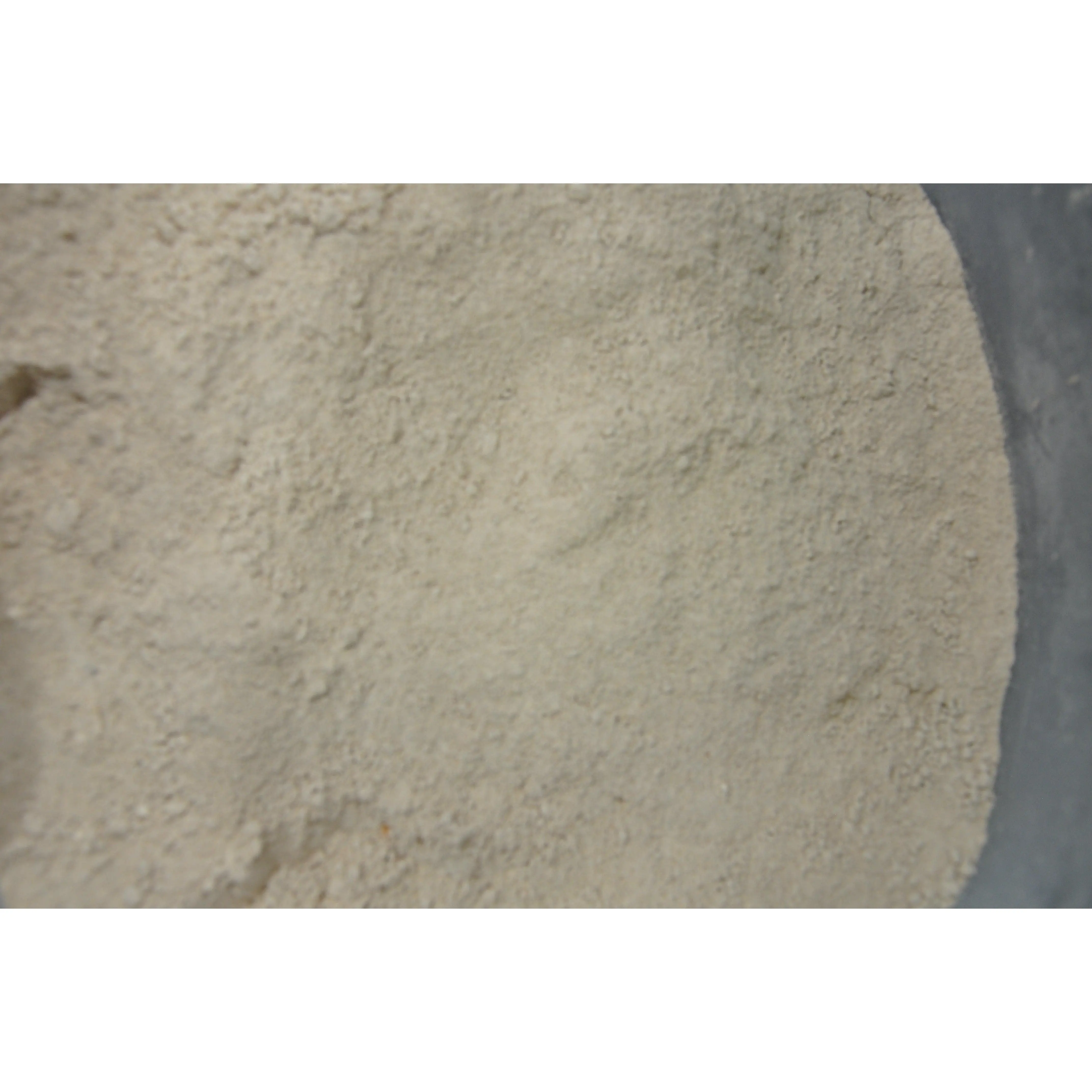 Medicinal Mushroom Powders - Dried Mushroom Fruit Bodies Powder Available in 4oz & 8oz Sizes Cognition Supplement for Healthcare & Mental Clarity