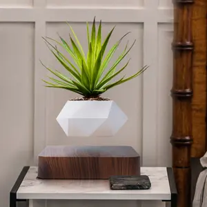 Levitating Air Bonsai Pot, Rotation Flower Pot Planters, Magnetic Levitation Suspension Floating Pot, Potted Plant Home Desk Decor in Flower Pots & Planters from Home & Garden on (Dark/light color)