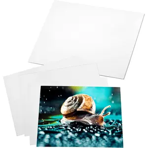 20 Sheets 8*10 Inch 180gsm Glossy Inkjet Photo Paper for Printer, Suitable for Printing Pictures Flyers Calendars and Brochures