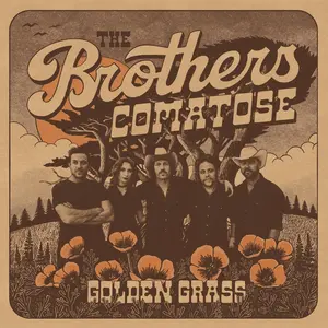 The Brothers Comatose - Golden Grass  [COMPACT DISC - CD]