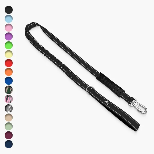 Dog Friendly Co. Functional Bungee Harness Leash Combo - Bungee Leashes, Shock-Absorbing 1.2m-1.4m When Stretched Lead, Traffic Handle, Reflective, Pull Control, Strain-Free, Keys & Bags Ready, Poop Bag D-Ring for Small to Large Pets (Leads & Harnesses)