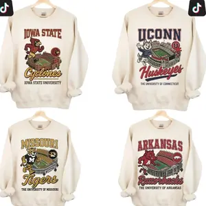 [Sale off 50%] Custom Team Vintage College Mascot Sweatshirt, Retro Football Stadium Graphic Crewneck, All Team Style Unisex Pullover, Game Day Outfit Z64