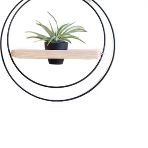 Air Plant Shelf + Pot