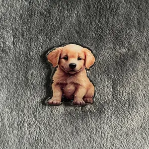 Interchangeable Badge Reel Topper