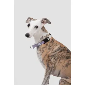 SteadyPace Control Collar