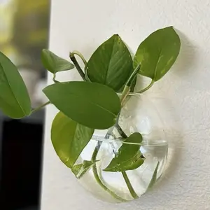 Wall Hanging Glass Terrarium Planter Decor