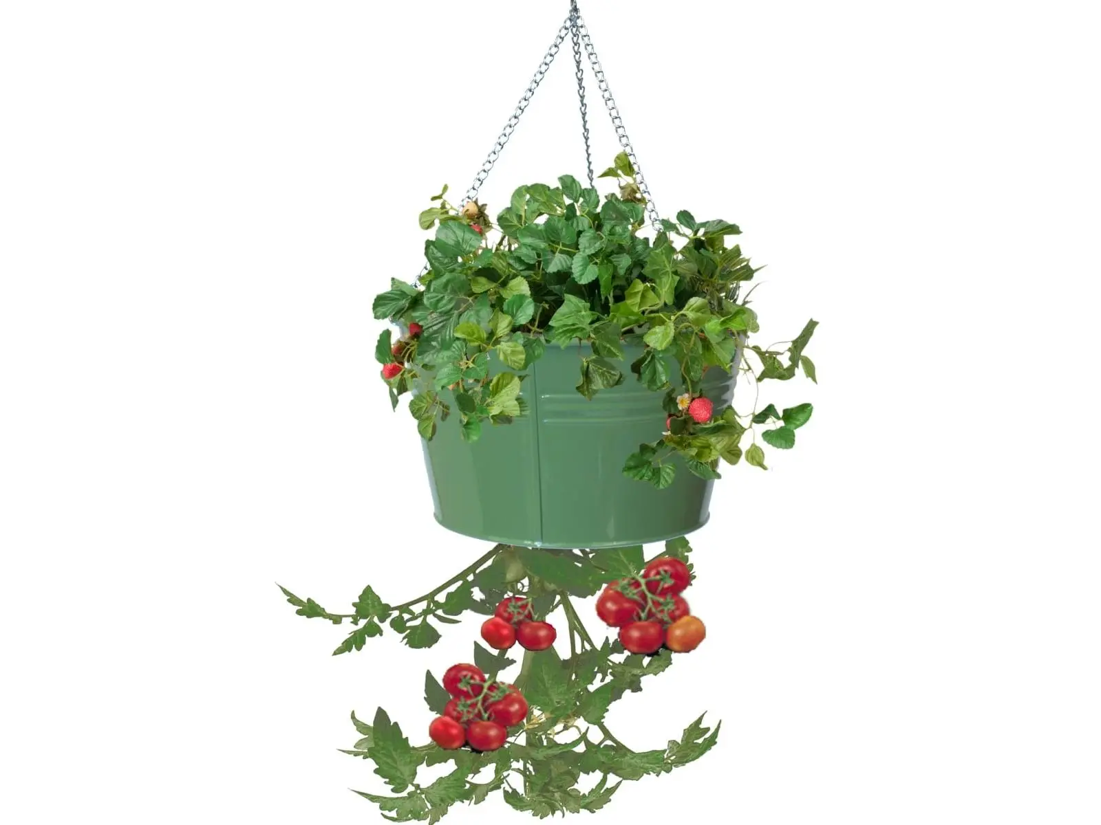 Houston International Trading 8399E SA Enameled Galvanized Hanging Strawberry, Floral Planter - Sage