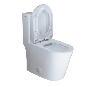 WinZo WZ5089WB Small Toilet One Piece Deisgn With Black Push Button Dual Flush,23 inch Length for Tiny Bathroom,White