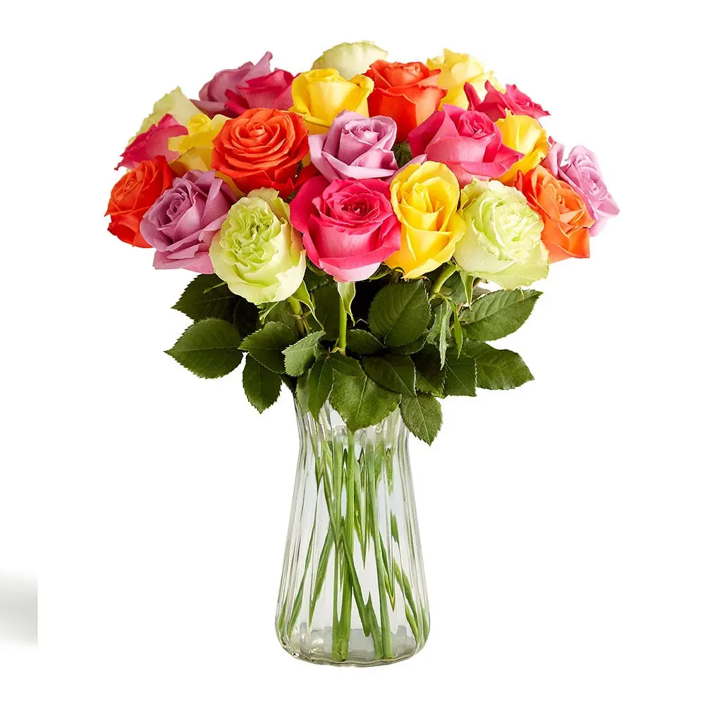 1800 Flowers - 24 Stem Assorted Roses Bouquet with Clear Vase 1800 Flowers - 24 Stem Assorted Roses Bouquet with Clear Vase