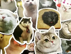 FREE GIFT 5pcs Random Sticker cat Funny
