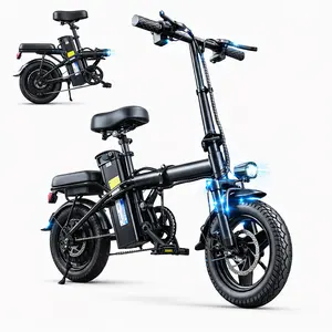 Adult Electric Folding Bicycle 450W Motor 48V 15Ah Battery 22 mph Speed 8-Level Shock Absorption 25 km Range Includes Wheels Pedals Charger