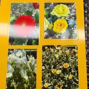 Precut Glossy Sticker Sheet, 4x7 Inches (Ideal for Crafting, Labeling)
