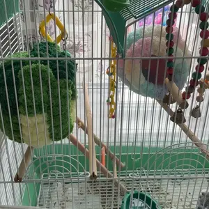 Parrot Warm Cotton Nest, Coral Fleece Insulated Birdhouse, Suitable for small parrots，Hanging buckle parrot warm bed，Bird cage hanging warm nest for parrots，Washable coral fleece parrot nest，Insulated bird hut with hanging loop