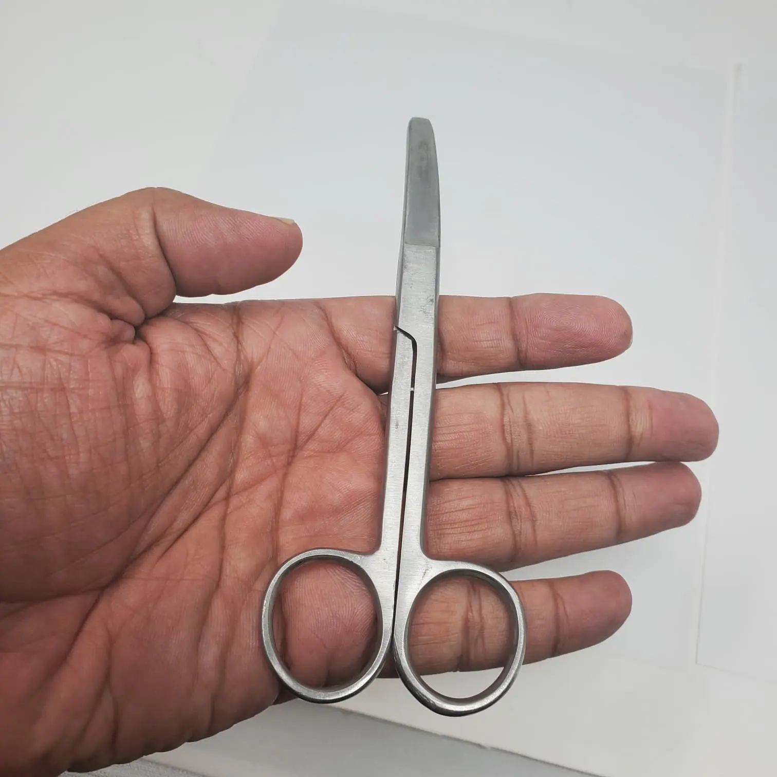 6.5" Curved Blade Stainless Steel Scissors for Gamefowl Rooster Care | Poultry Grooming & Feather Trimming Shears