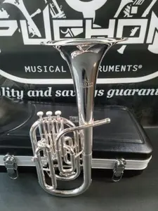 Eastman EAH301 Silver Eb Alto Horn - Intermediate
