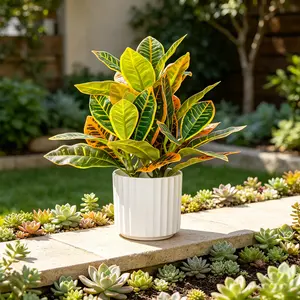 1pc Artificial Variegated Plant with A White Pot, 24cm Potted Variegated Fake Leaves, Artificial Greeny Plant, no Maintenance Required, Artificial Flower Decorations, Artificial Plants, Decorative Piece for Living Room, Ideal for New Year