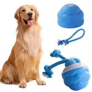 Motion-Activated Interactive Rolling Ball Dog Toy with Squeak, Smart Active Toy for Dogs & Cats, Training & Playtime Gift