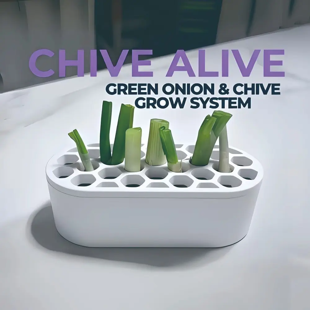 Green Onion Regrow Kit | Scallion Growing Kit for Kitchen Gardening | Easy Grow System for Balcony, Windowsill and Small Space Gardening