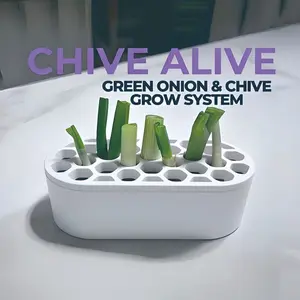 Green Onion Regrow Kit | Scallion Growing Kit for Kitchen Gardening | Easy Grow System for Balcony, Windowsill and Small Space Gardening