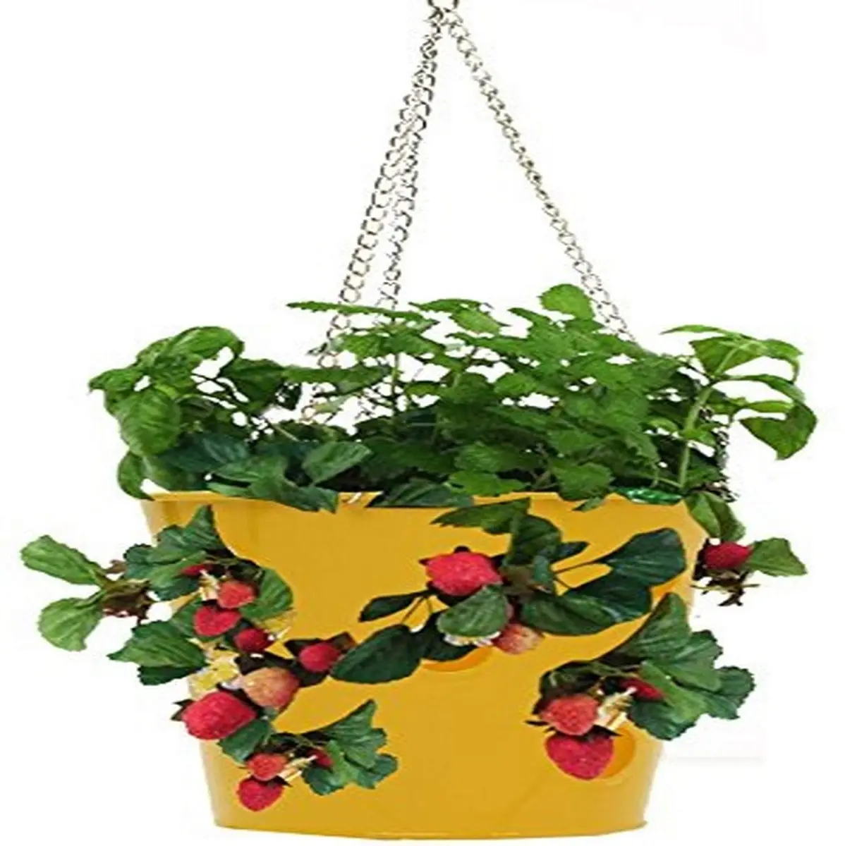 Enameled Galvanized Steel Strawberry, Herb & Floral Hanging Planter, Saffron