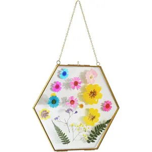 Brass  Photo Frame,9.5 Inch Hexagon Glass Frame for Pressed ,Clear DIY  Artwork Display Frame Wall Mounted Photos Frame