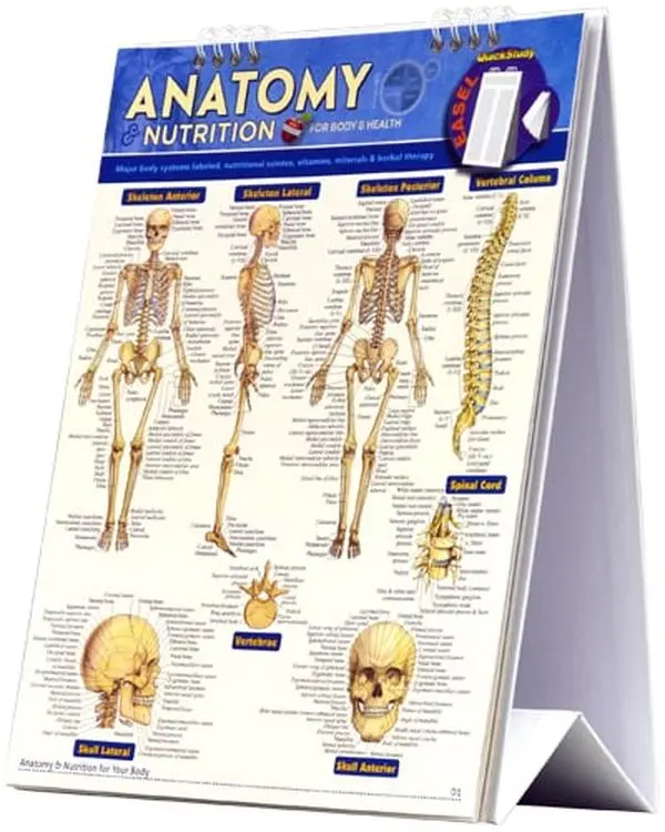 BarCharts Anatomy & Nutrition Quickstudy Easel
