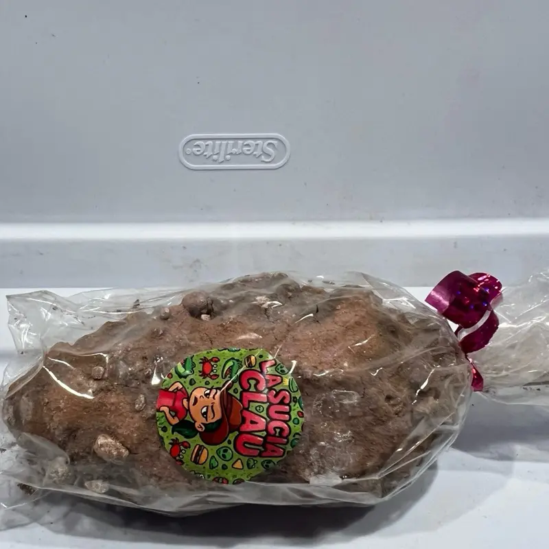 Claudia la Sucia-Elotteee Asao Artisan Clay Creation, Handmade with Kaolin and Mixed Clays, Made in Mexico