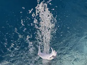 Dolphin Pool Bubbler Fountain – Sun Shelf Water Feature for Baja Ledge, Tanning Ledge, Kiddie Area, Shallow Pool Decoration