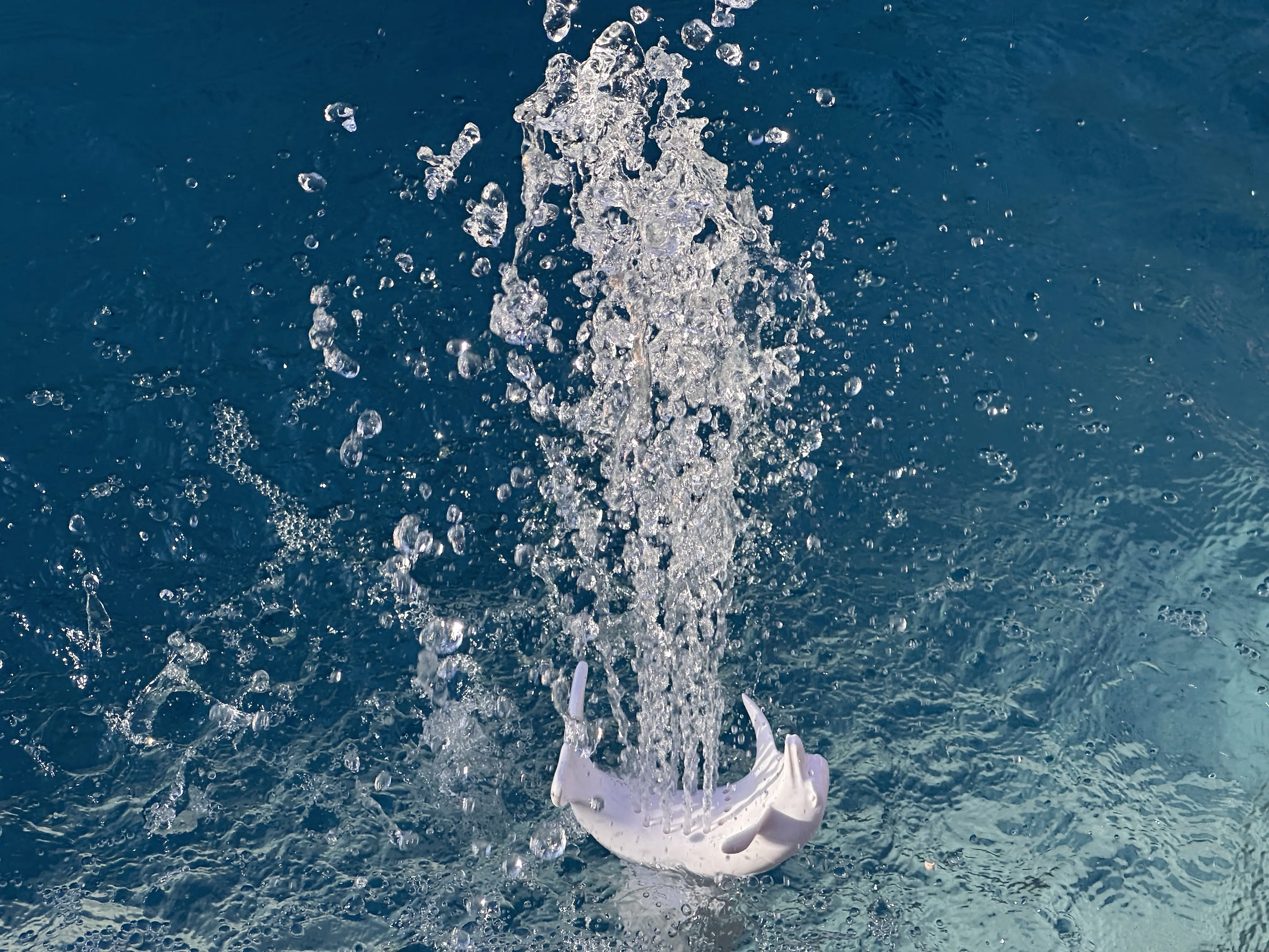 Dolphin Pool Bubbler Fountain – Sun Shelf Water Feature for Baja Ledge, Tanning Ledge, Kiddie Area, Shallow Pool Decoration