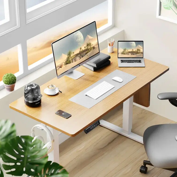 Standing & Height-Adjustable Desks