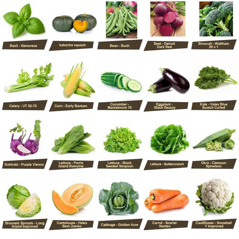 [Best seller] Organic Seed Collection Kit - 35 Selection Box for Indoor Planting with Cultivating Emergency Vegetables Heirloom Root Blend Great Growing Present for Every Family Yard