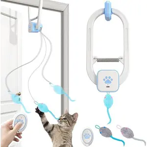 Direct sales from the manufacturer, exclusively for Amazon: remote-controlled electric cat toy, door clip yo-yo, up-and-down retractable mouse elastic rope