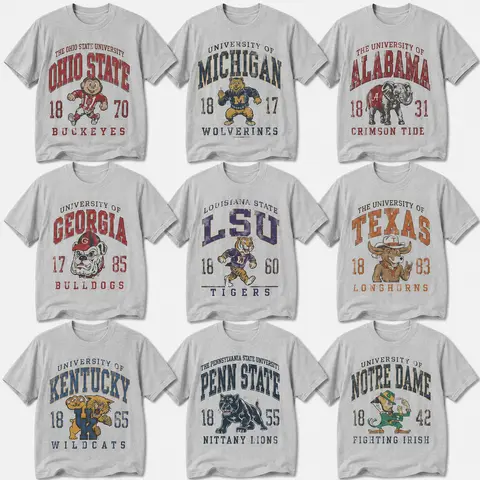 Vintage All Team College Football Sport Grey T-Shirt, Retro All Team Graphic Tee, Distressed Game Day Fan Shirt, Gift for Men Women