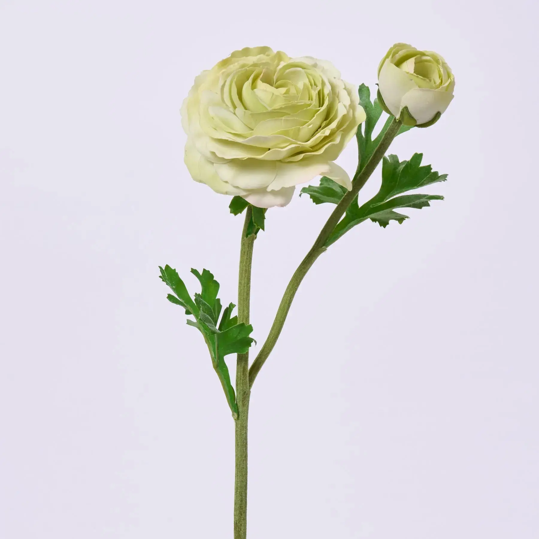 Chartreuse Green Real Touch Ranunculus Flower & Bud Spray, Single Faux Floral Stem with Leaf, 23in Home Decor Plants for Room Decor