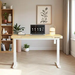 KOWO 48" K3101 Electric Height Adjustable Standing Desk with Drawers Gaming Table NPR Tiny Ergonomic Workstation for Comfortable Work
