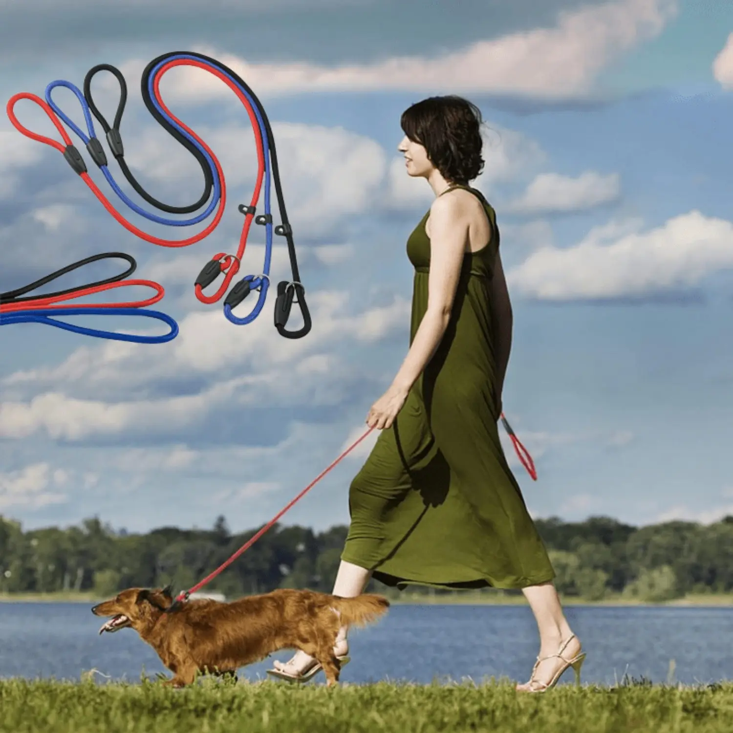 Slip Leads for Dogs 1/2" x 5FT Slip Leash for Small Medium Dogs Comfortable Strong Rope Slip Leads, No Pull Pet Training Leash for Shelter, Vet, Training (Red/Black/Blue) - Tools & Hardware.