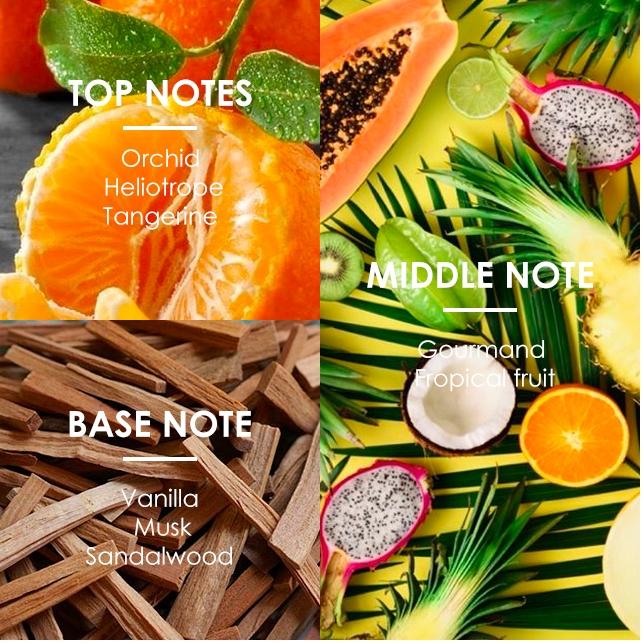 EDP Perfume Gourmand Woody Spicy Scent Long lasting Parfum For Her and Him  Thanksgiving Pretty Package Lonkoom Perfume