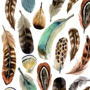 Aquarell Feathers Napkins